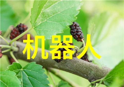 全球经济复苏前景受考验新一轮通胀压力与政策调整的博弈