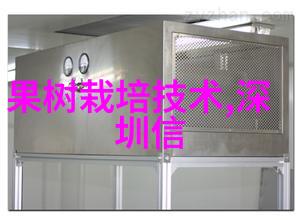 房客by无罪国度 - 流离失所的故事探索房客背后的社会隐喻