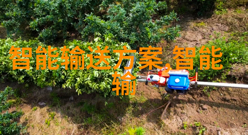 联发科如何在美中关系紧张中保持自由