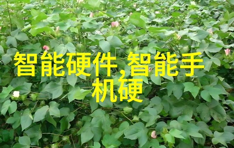 姜可的另一面揭秘他的成长故事和未曾展现的才华
