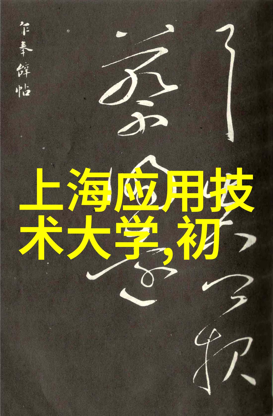 公交车上的诗城市之声行者心语