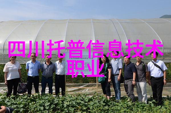 全球汽车芯片大师领航未来车联网智能化的十位先锋