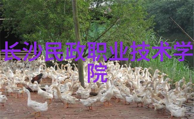 不锈钢加工服务专业定制不锈钢零件订单接受