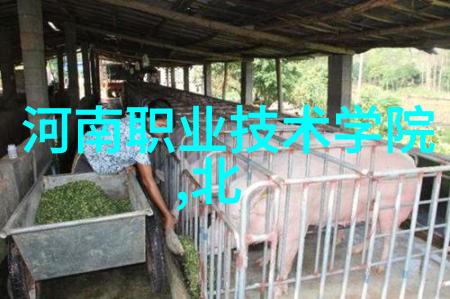 机械之躯衣衫如人