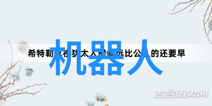 在推动绿色经济发展过程中我们应如何平衡与提升基于生物质矿物质等多元化能源结构