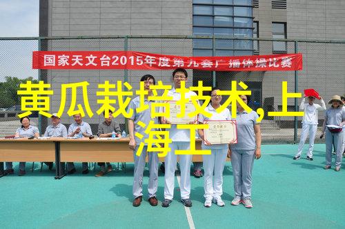 政策支持下的飞跃成长分析中国智造二期政策导向