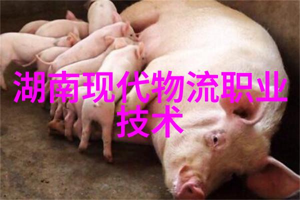 两个上面一人吃B咱俩一起搞个超大型烧烤吧