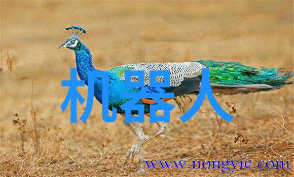 石家庄财经职业学院中国优秀财经教育机构