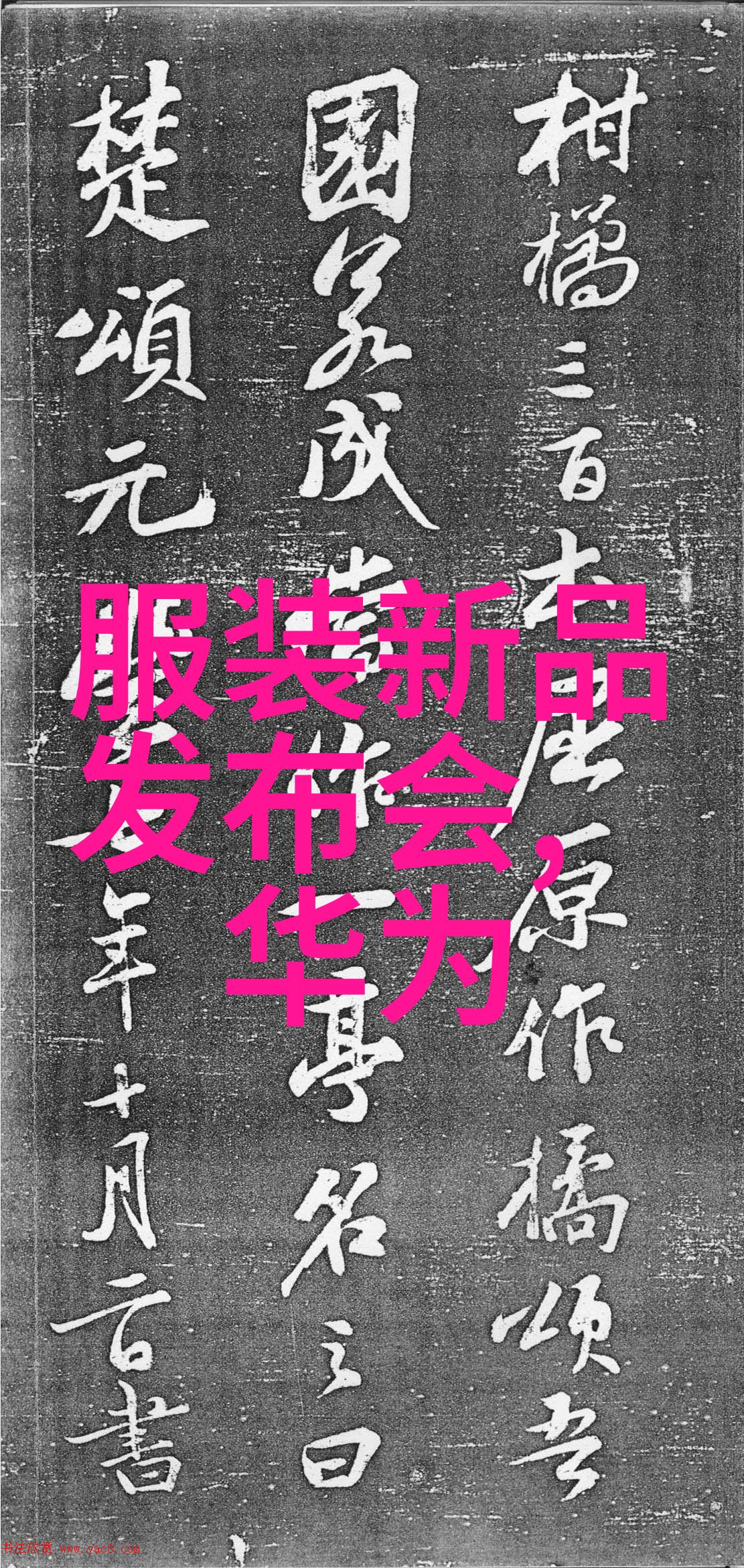 女生选读制药学探索一个充满魅力的专业世界