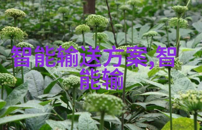 北京等保测评公司我在这座古老而又现代的城市里找到了一个不为人知的小秘密