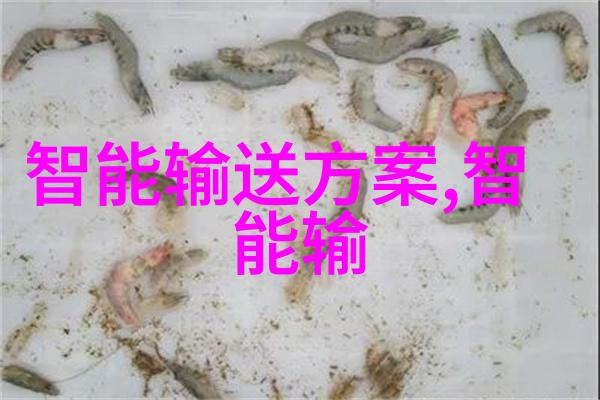 双男主驾驭宝马的豪华之旅