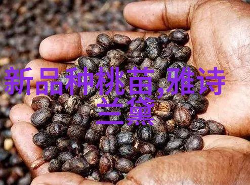 汽化过氧化氢消毒机的应用与优势