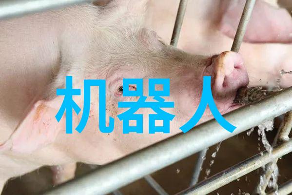 中国芯片龙头SMIC上海微电子设备有限公司