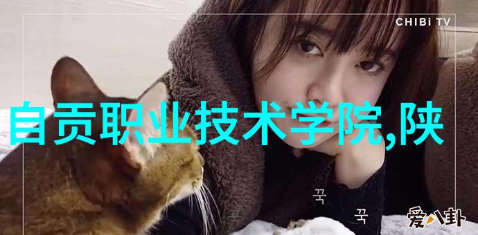 S的秘密使命解锁M的任务表神秘图像
