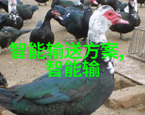 制冷设备配件的选择与维护重要性
