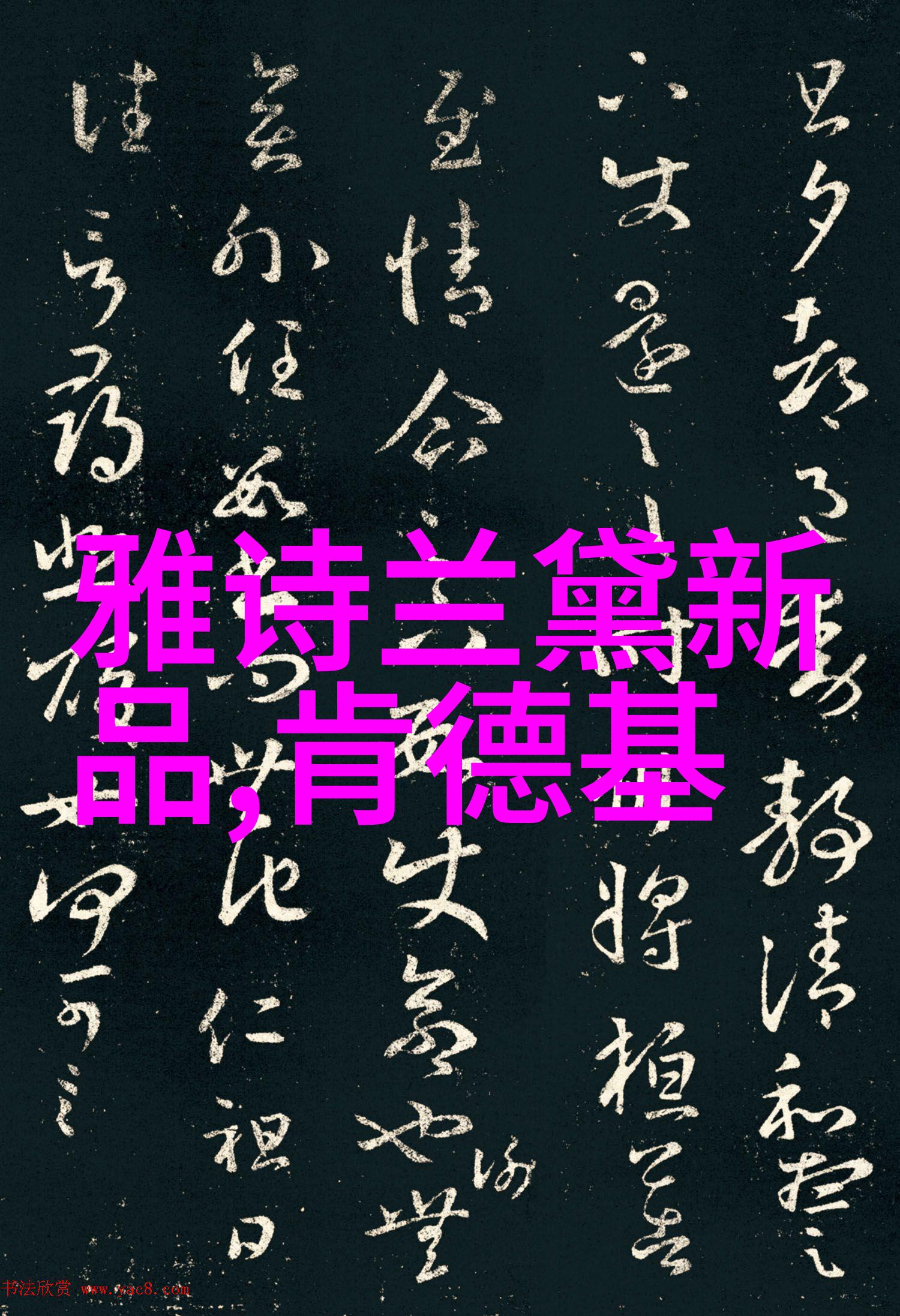 在进行丝网波纹填料装备前应如何准备工作环境