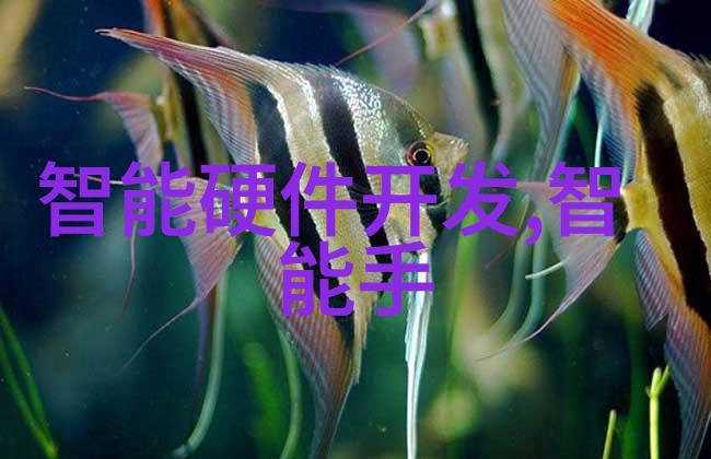 人才测评大冒险从智商到情商揭秘公司人脉的秘密