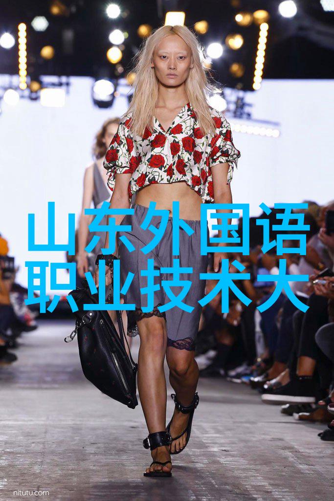 全球化时代下跨境金融治理的战略探究以中美为中心的比较研究