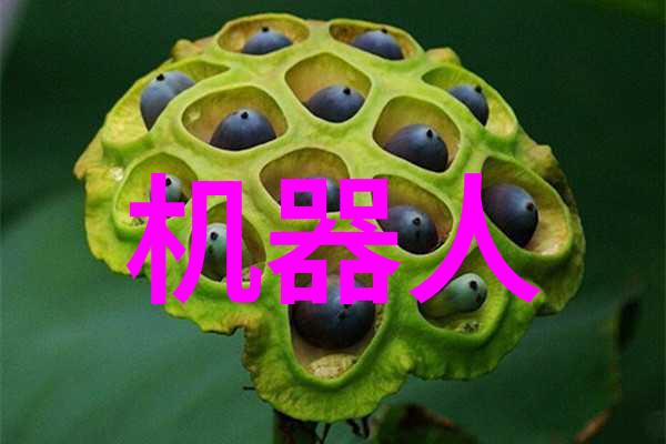 虹润数据采集无纸记录仪的常见问题及解答