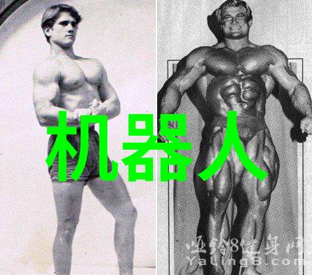 法国电影墨菲定律电影中总是发生意外的法则