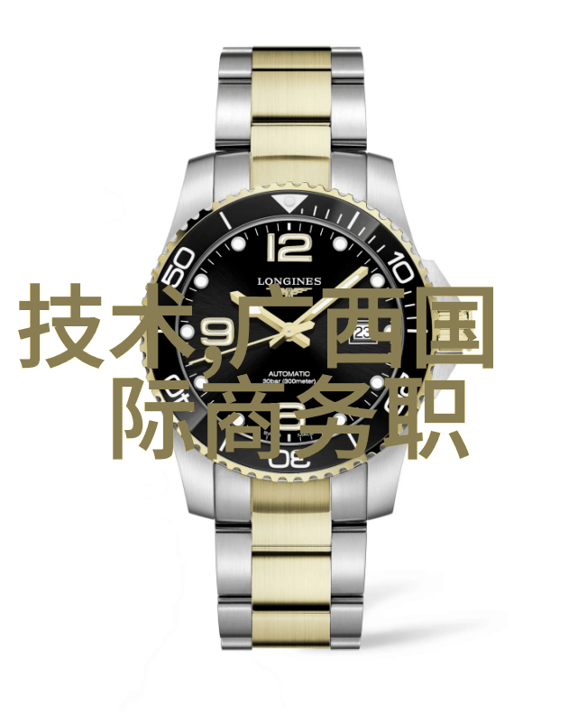 如何选择最适合您智能手表方案商排名从入门到全场景的Garmin 佳明618可穿戴设备购买指南
