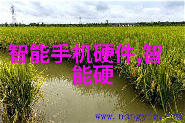 芯片的难度到底有多大 - 硅之谜揭开芯片制造的技术奥秘