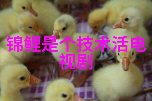 青云台沉筱之txt百度云我是如何在网上找到了那本稀世珍宝的故事