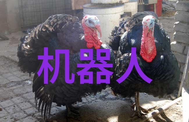 聚焦智能环保装备技术外资引领裂解炉效率高峰犹如星辰引领夜空的璀璨之光