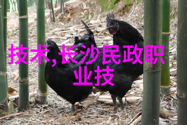 兴趣测评我是如何发现自己真正热爱的生活方式的
