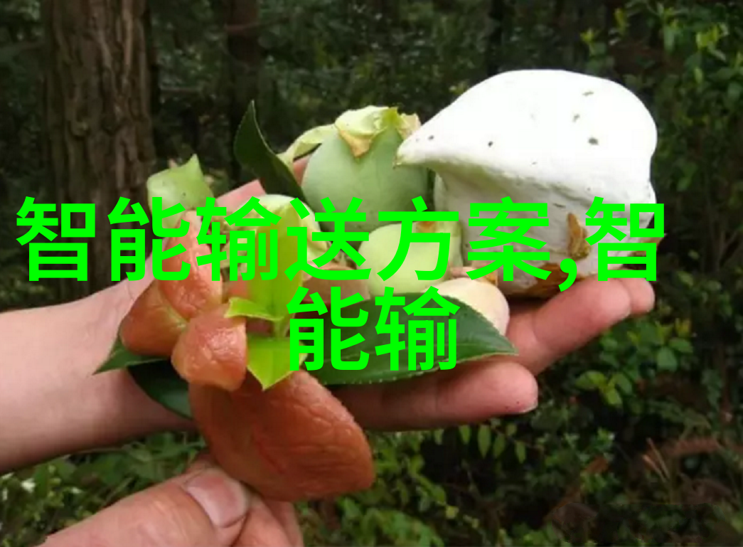 小区清新饮水小型纯净水设备的选择与应用