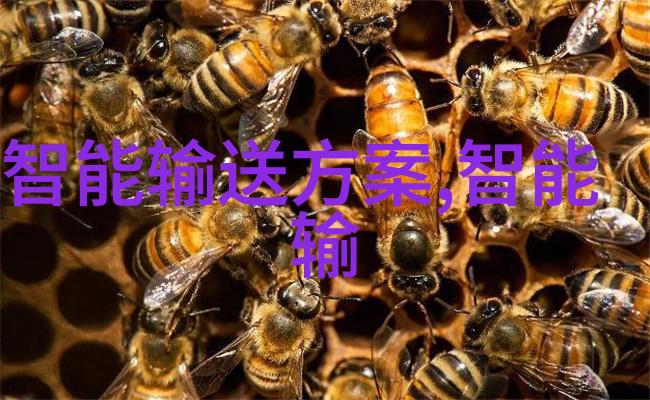 旧设备新生二手大集合回收狂欢