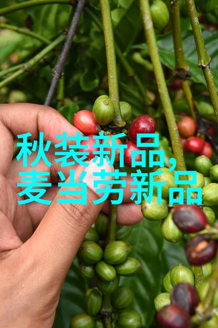 总裁霸爱小娇妻别想逃全文阅读免费-豪门追妻不许逃离我的怀抱