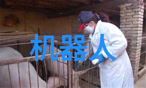 塑料管材-高性能PE管材在水利工程中的应用与优势分析