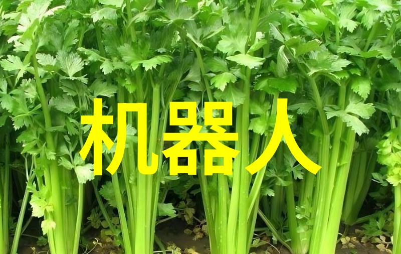 家用不锈钢货架-实用空间优化如何选择和布局适合家庭的不锈钢货架