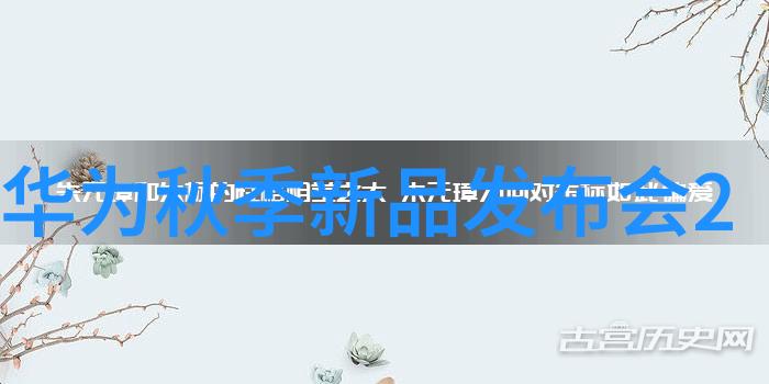 社会服务与社区参与江西財經職業學院社會实践项目分析