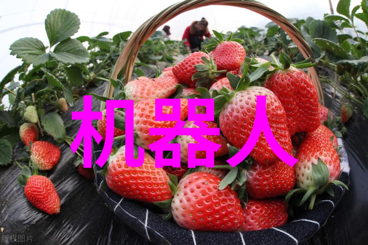 中国设备网连接工业进步的数字桥梁