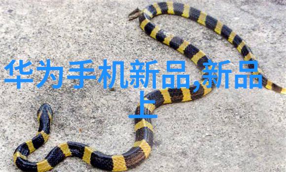 秦都之冠寻访西安的PE管生产大师