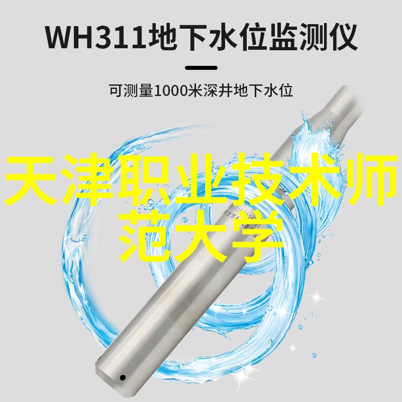 水位显示仪潮涌中的守望者
