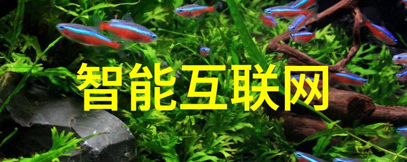 水冷干法制粒机