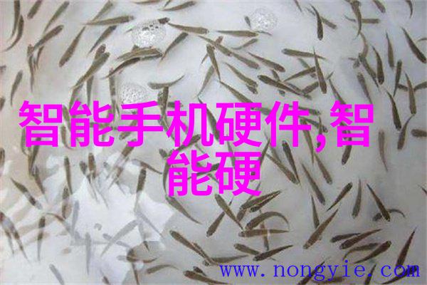 模拟芯片分类指南从模拟信号处理器到数据转换器全面解析
