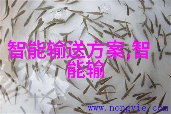 旋转的力量离心压缩机的奇迹