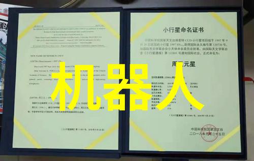 超级高效连续式草莓冷冻干燥机能让你的冷冻干燥设备飞速工作让每一颗草莓都变得晶莹剔透