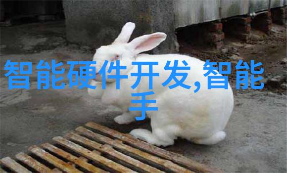 在全球化的大背景下跨文化的人才胜任力测评方法又该如何设计和应用