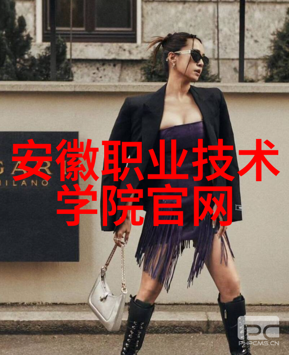 中南财经政法大学之谜神秘教授与失落的研究成果