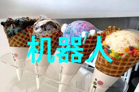 为何选择专业服务社区内公共供给与私人订制之间的比较研究
