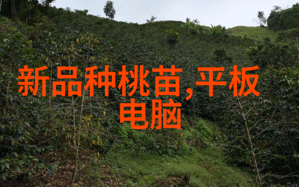 换热器型号选择与应用实例分析