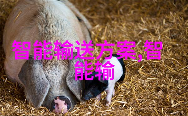 在全球范围内各国对其国家安全机构进行了哪些类型的评价和认证