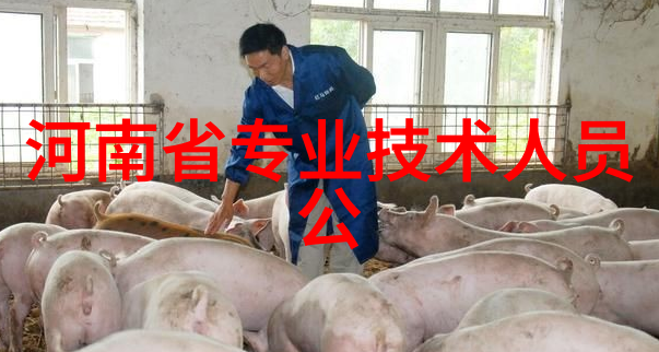 中国最大的批发市场揭秘探访天猫双11全球速卖通成交额之巅的生意帝国