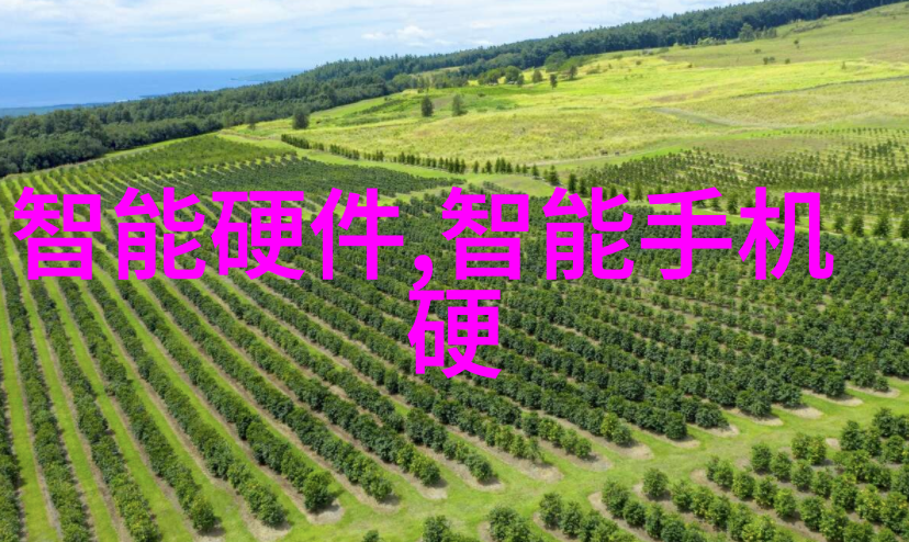 芯片法案让我们把智能化搞到家