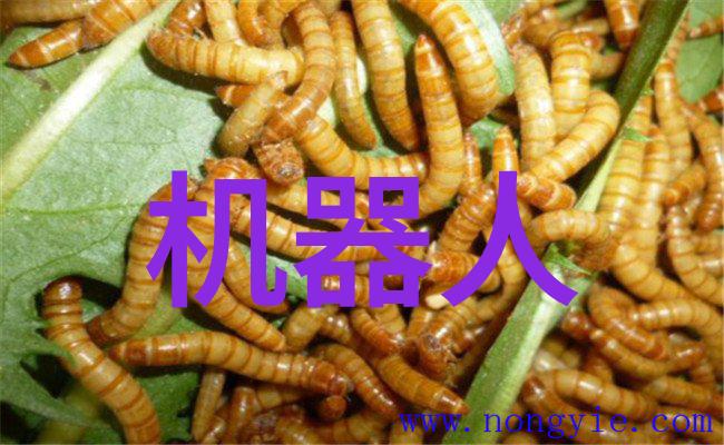 智能制造的未来机器人大军如何让我们变得更加无所事事